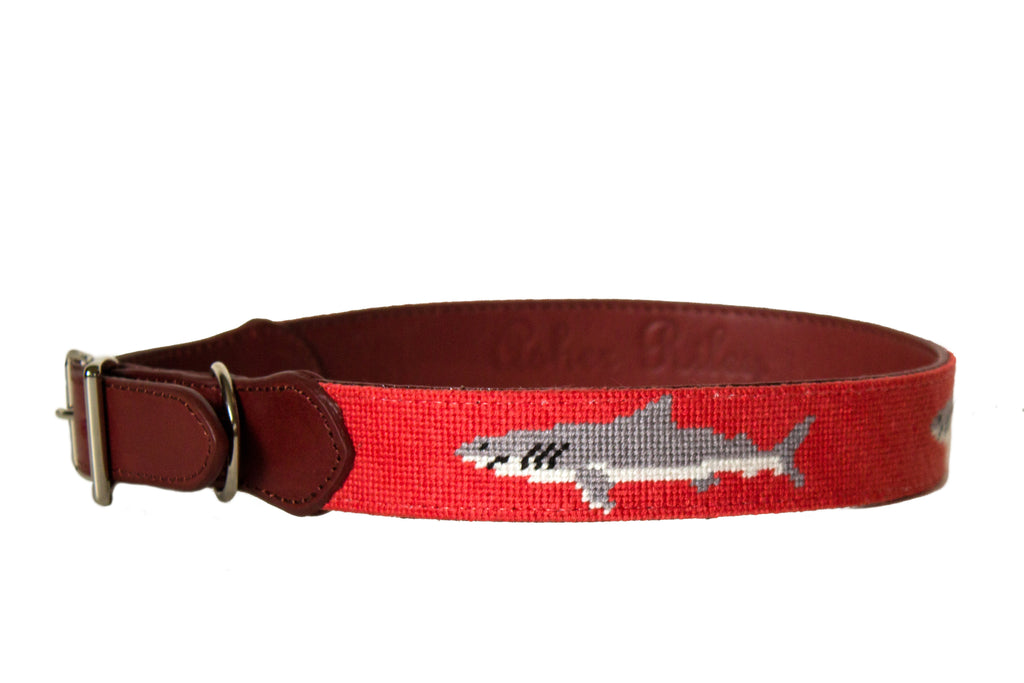 Shark dog clearance collars