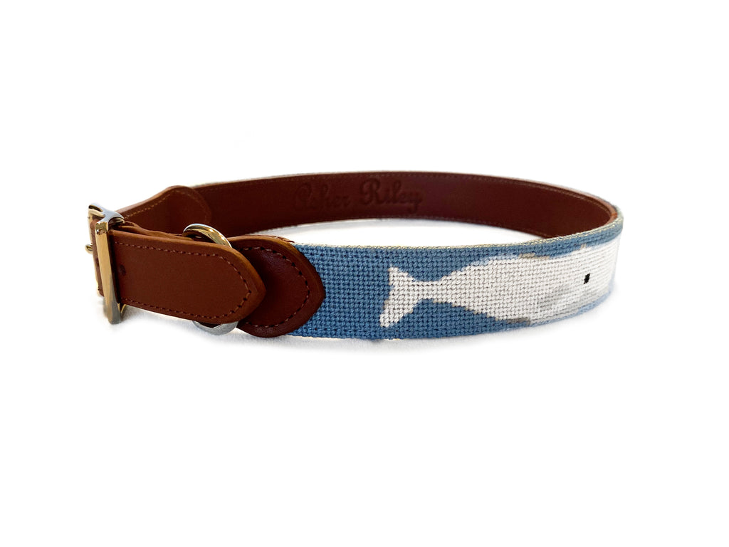 Whale hotsell dog collar